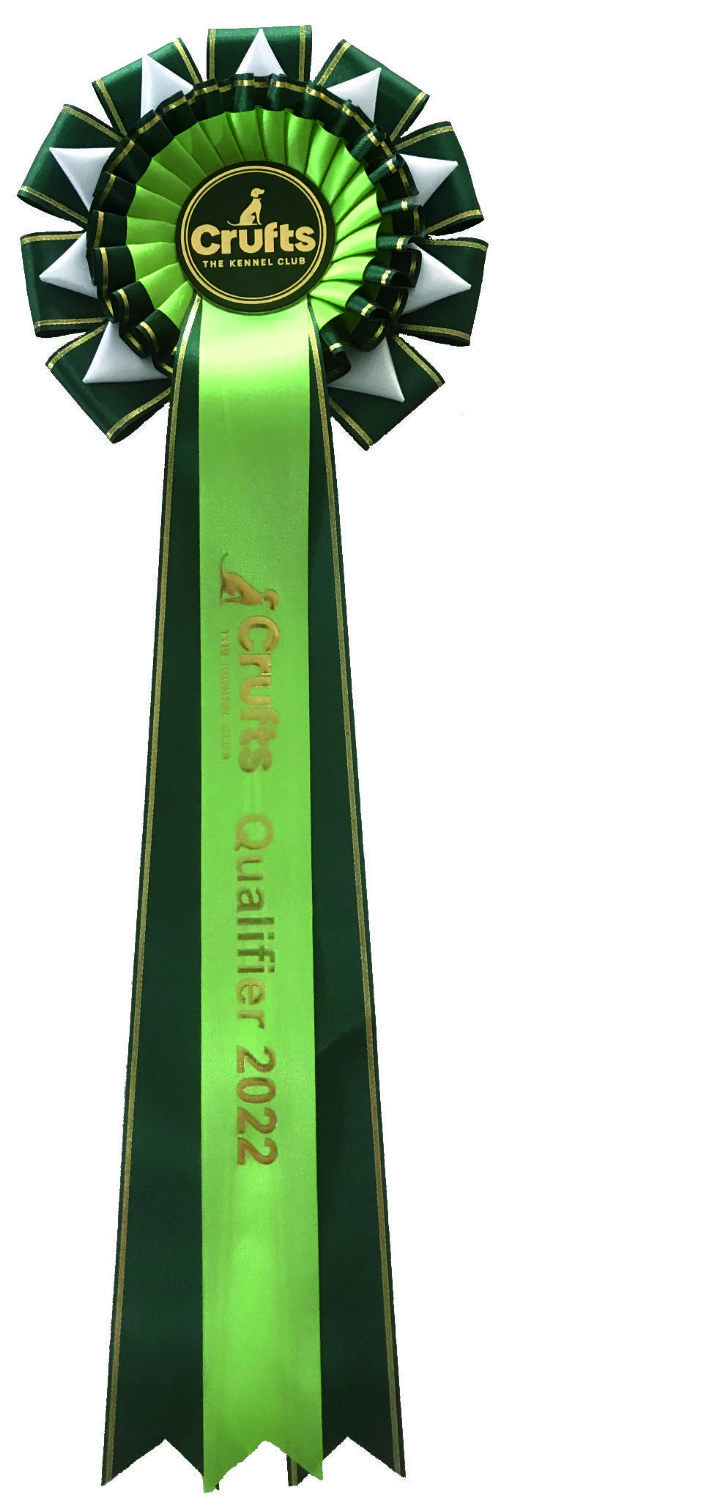Crufts Qualifying Rosette WITHOUT Dog's Name*
